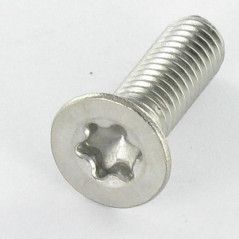 Screw Torx M8 25 mm stainless steel